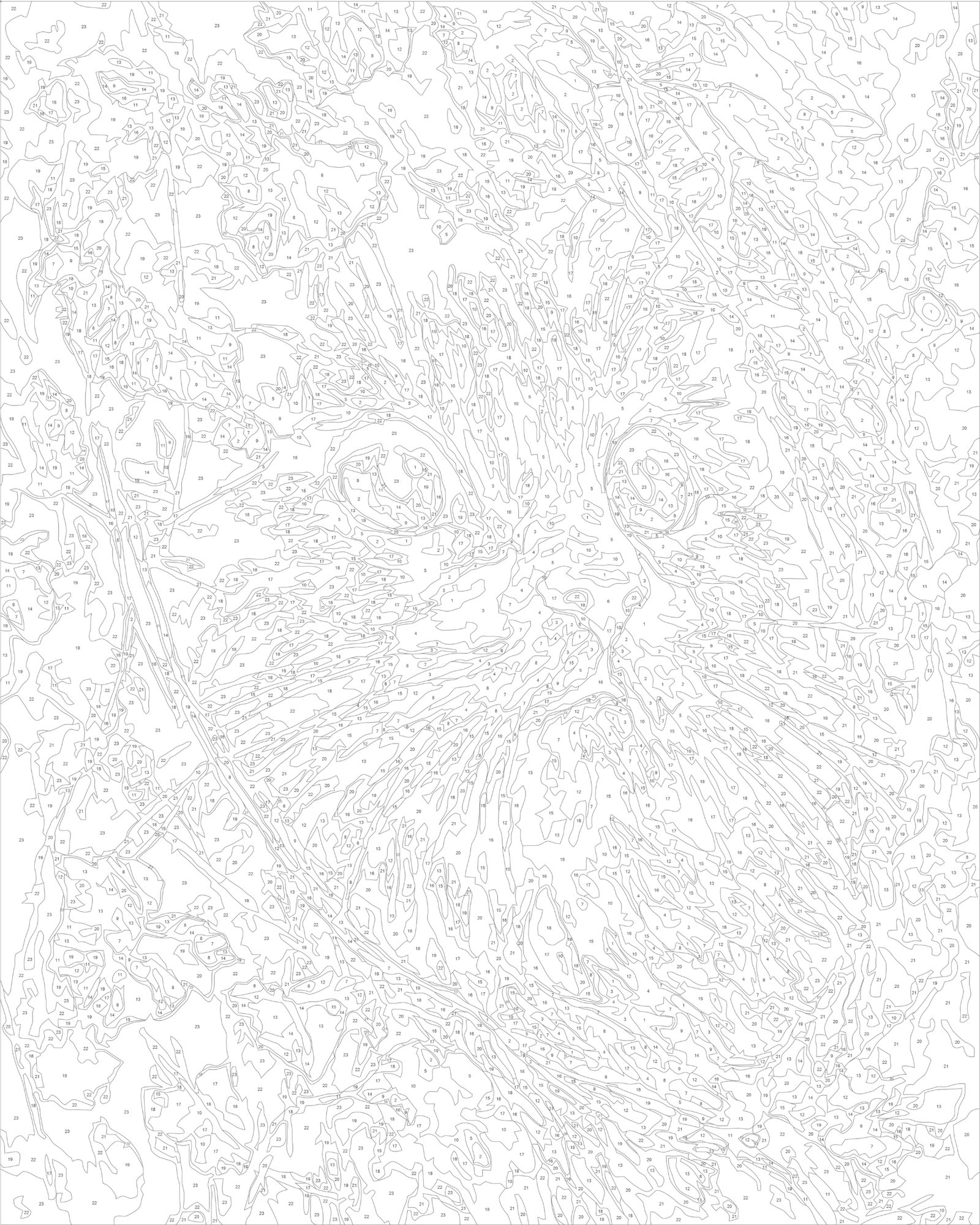 Malowanie po numerach 40x50 cm - Kotek ze szmaragdowymi LW 2002-01