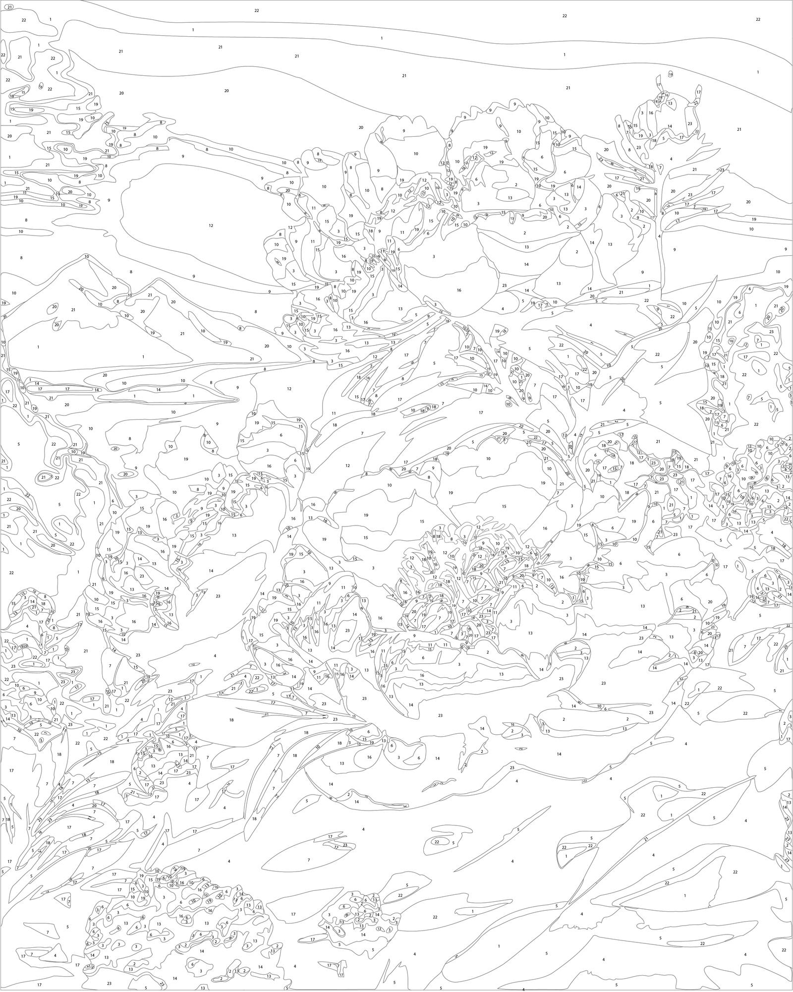 Paint by numbers on a frame 40*50 cm Flowers - Peonies at Sunset LW 2004