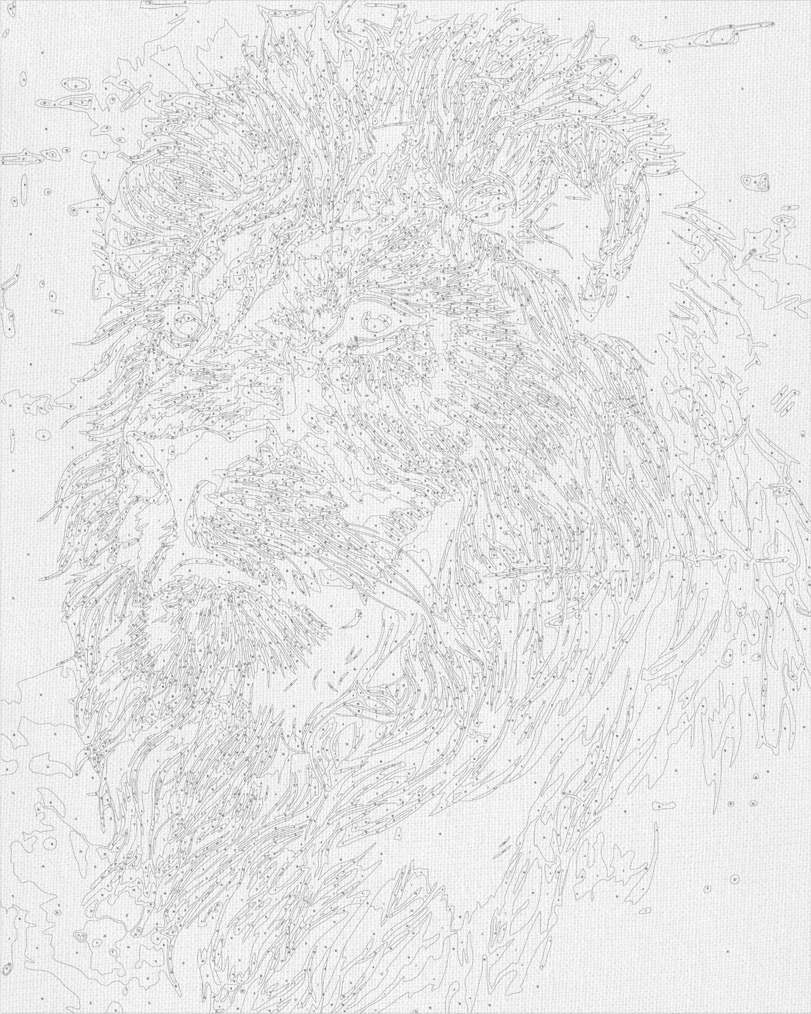 Maľovanie podľa čísel na ráme 40*50 cm - Lev - Zvieratá - LW 2230