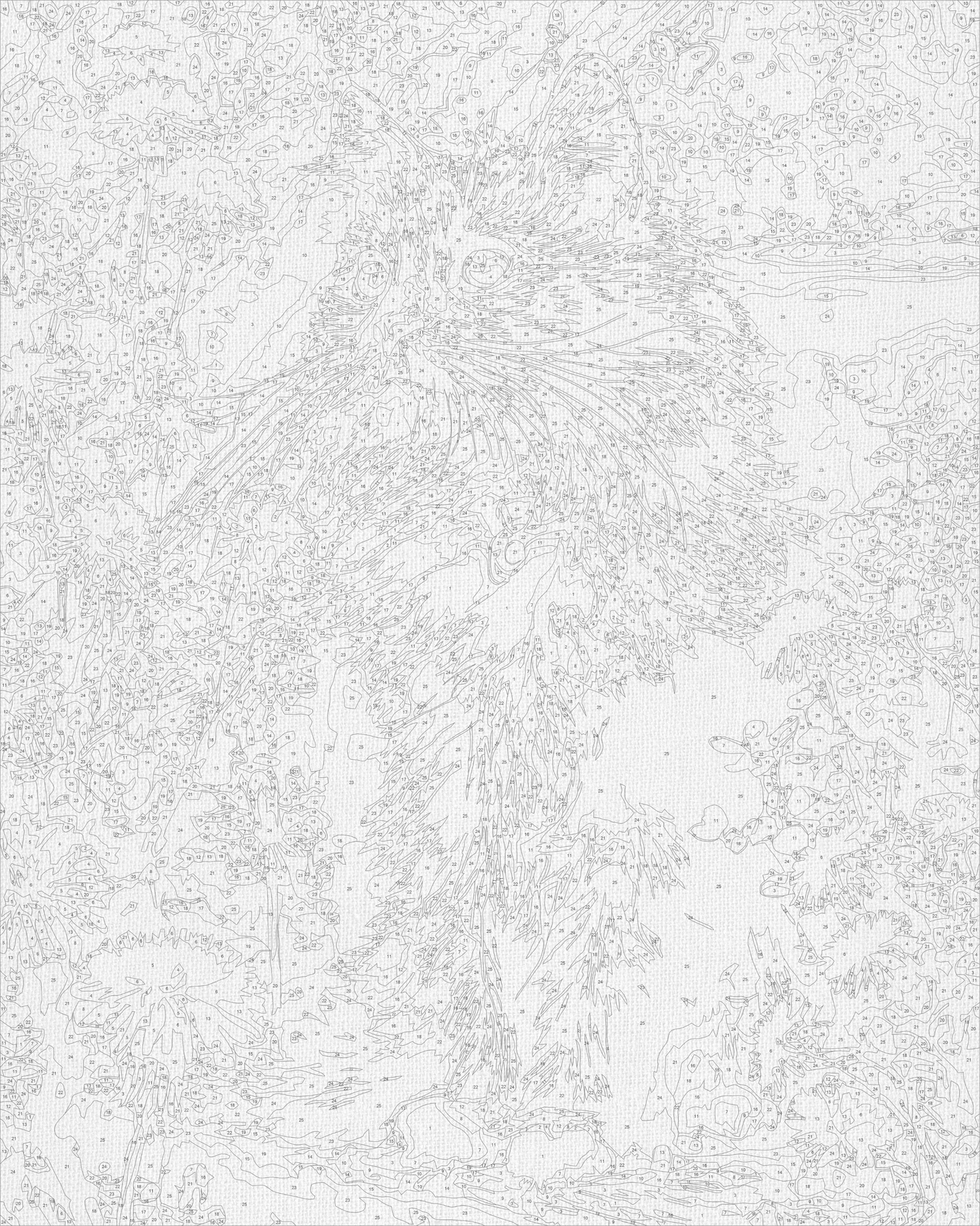 Malowanie po numerach 40x50 cm - Kotek w dmuchawcach LW 3009-01