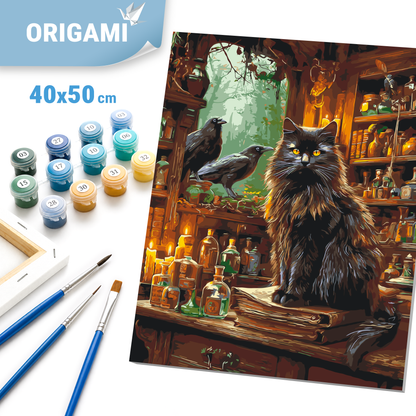 Malowanie po numerach 40x50 cm - Czarny kot i magia LW 3039-01