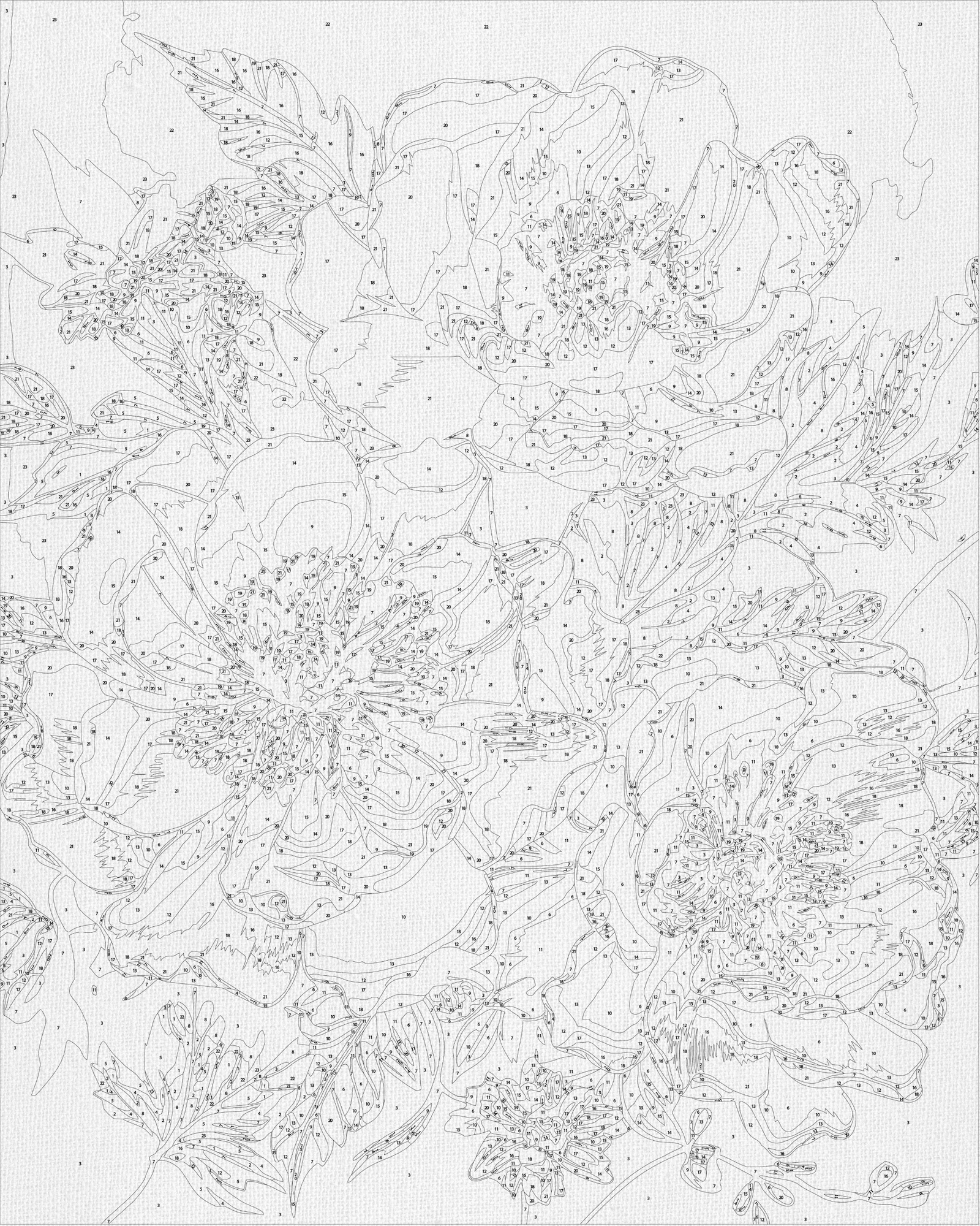 Malowanie po numerach 40x50 cm Kwiaty. Białe piwonie LW 30410