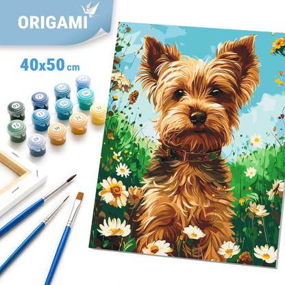 Malowanie po numerach 40×50 cm – Yorkshire terrier – Zwierzęta – LW 30470