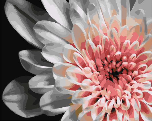Malowanie po numerach na ramie 40x50 cm - Dalia - Kwiaty - LW 30500
