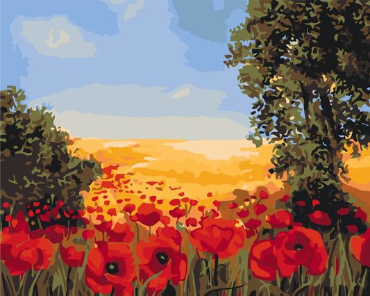 Malowanie po numerach 40x50 cm - Polne maki - Kwiaty LW 3131