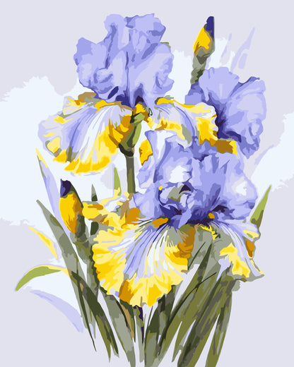 Malowanie po numerach 40x50 cm – Bukiet irysów. Kwiaty LW 31600