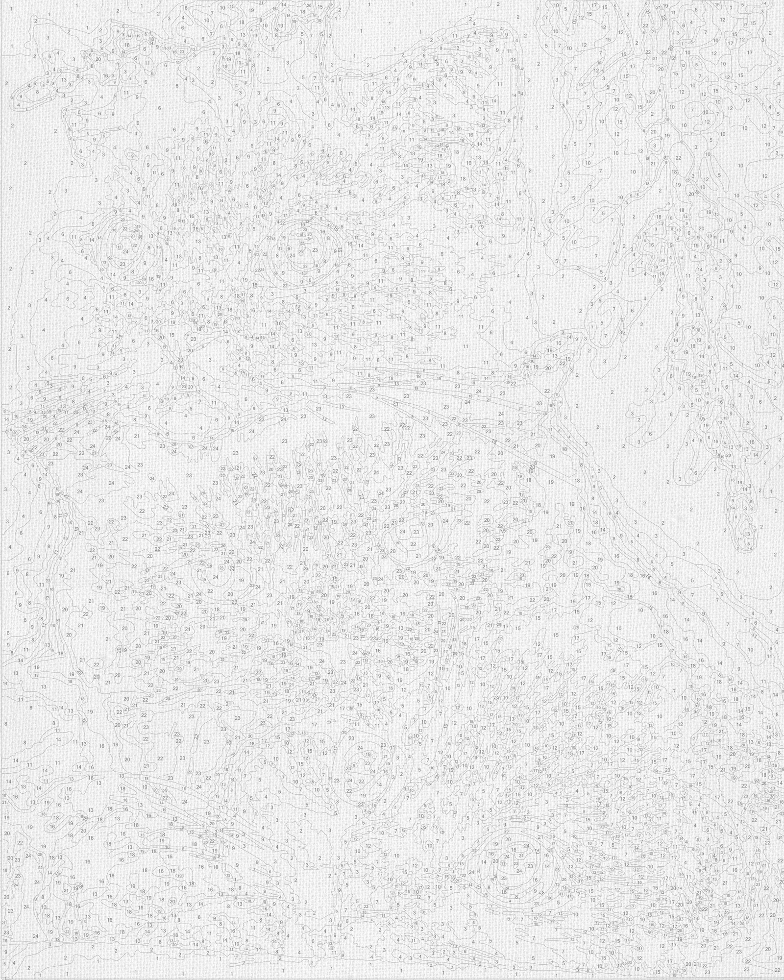Malowanie po numerach 40×50 cm – Figlarne kocięta – Zwierzęta – LW 31720