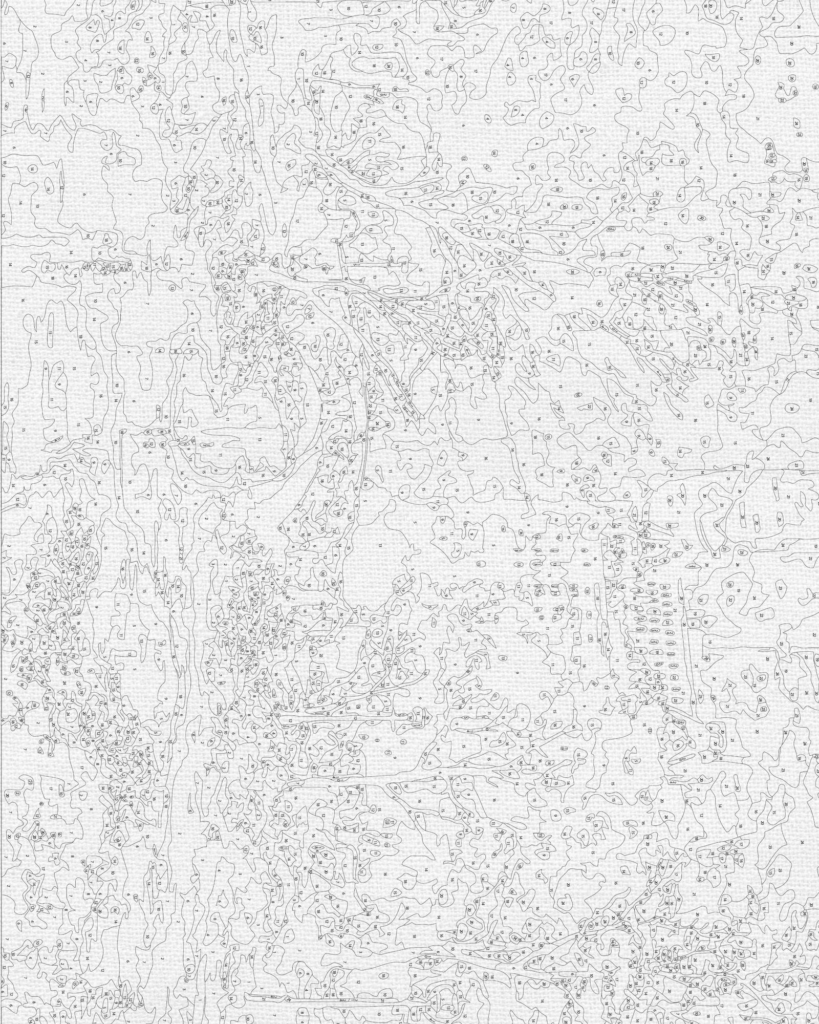 Malowanie po numerach 40x50 cm - Central Park w Nowym Jorku LW 3256
