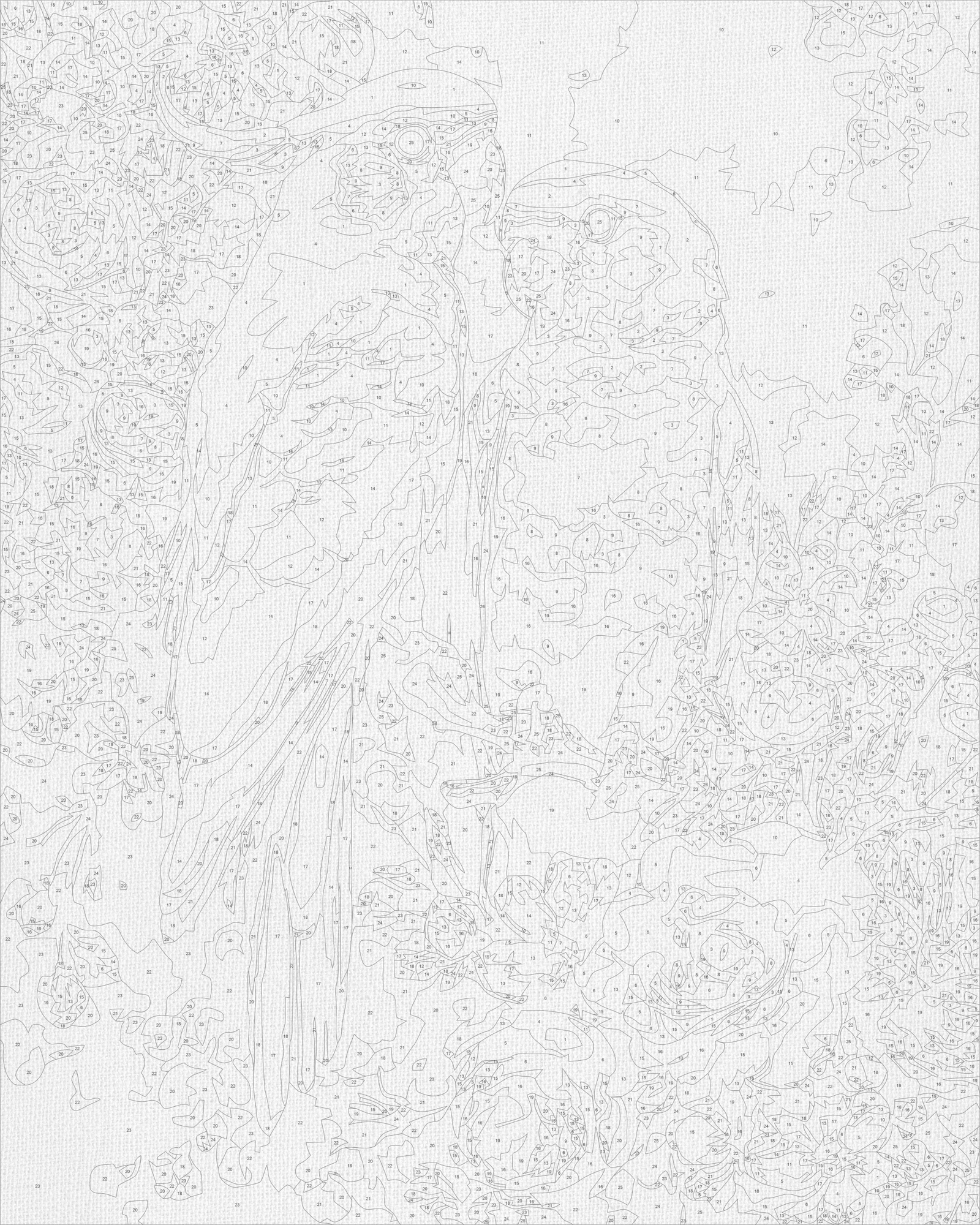 Malowanie po numerach 40x50 cm - Para papug - Zwierzęta LW 3271-01