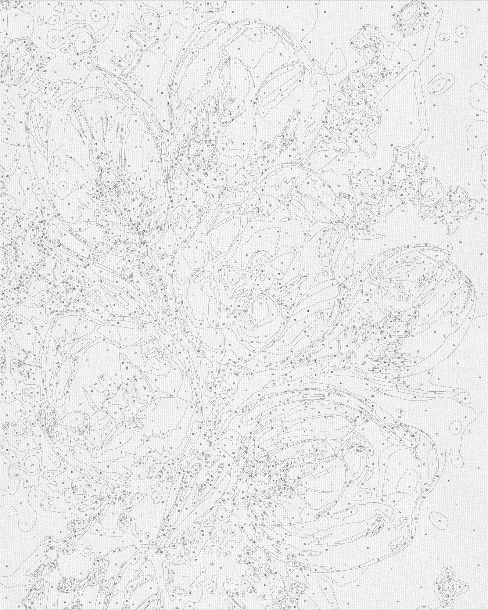 Malowanie po numerach 40x50 cm Kwiaty. Delikatne tulipany LW 3304