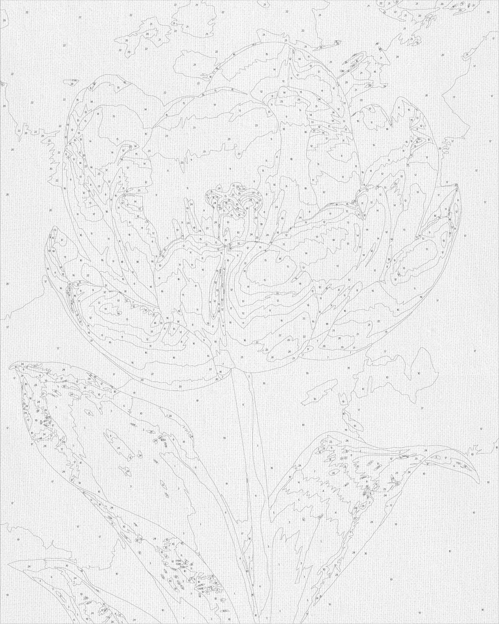 Paint by numbers on frame 40*50 cm Flowers. White Peony with Metallic Paints LW 3305