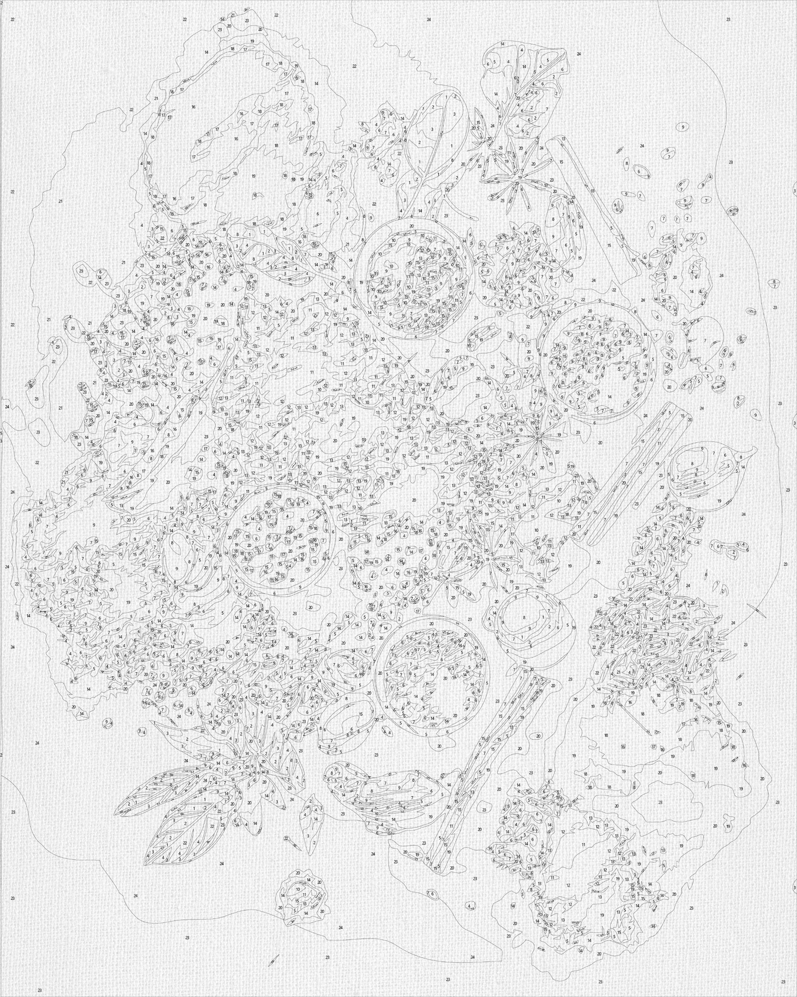 Malowanie po numerach 40x50 cm – Martwa natura. Przyprawy LW 3451