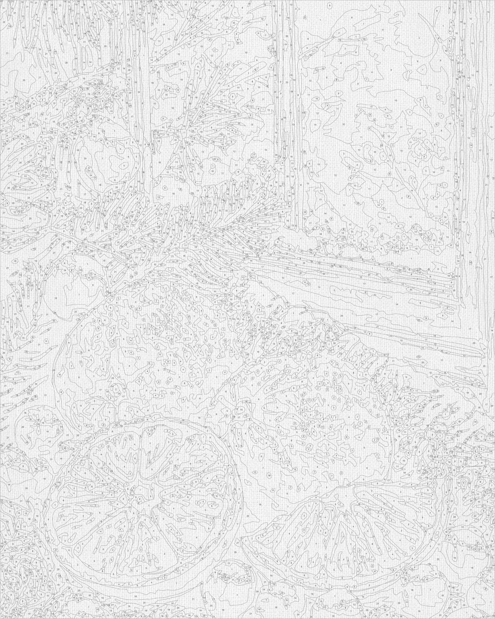 Malowanie po numerach 40x50 cm - Cytrusowa martwa natura LW 3548