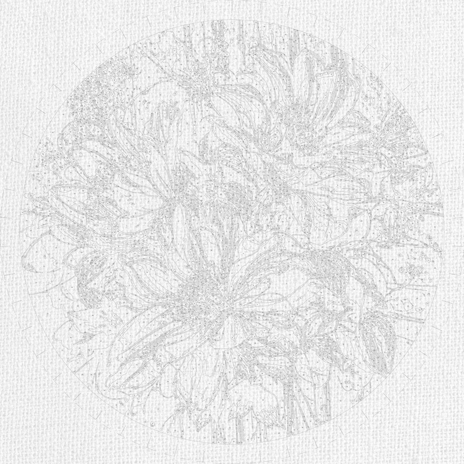 Okrągłe malowanie po numerach Ø45 cm Kwiaty. Białe magnolie OR 2001