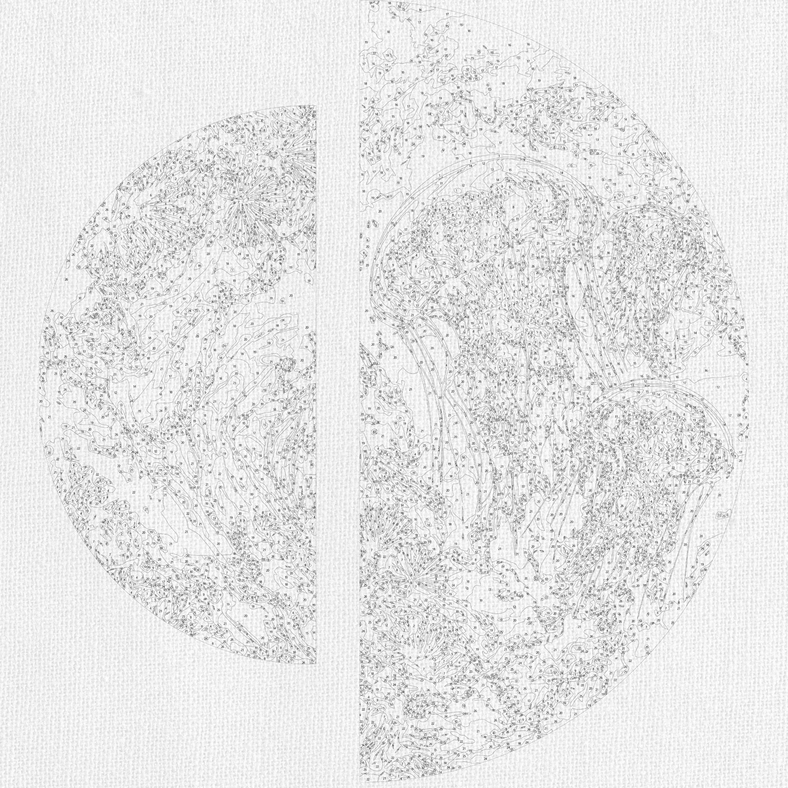 Malowanie po numerach ⌀50 cm + ⌀70 cm - Głębiny oceanu OSR 1014