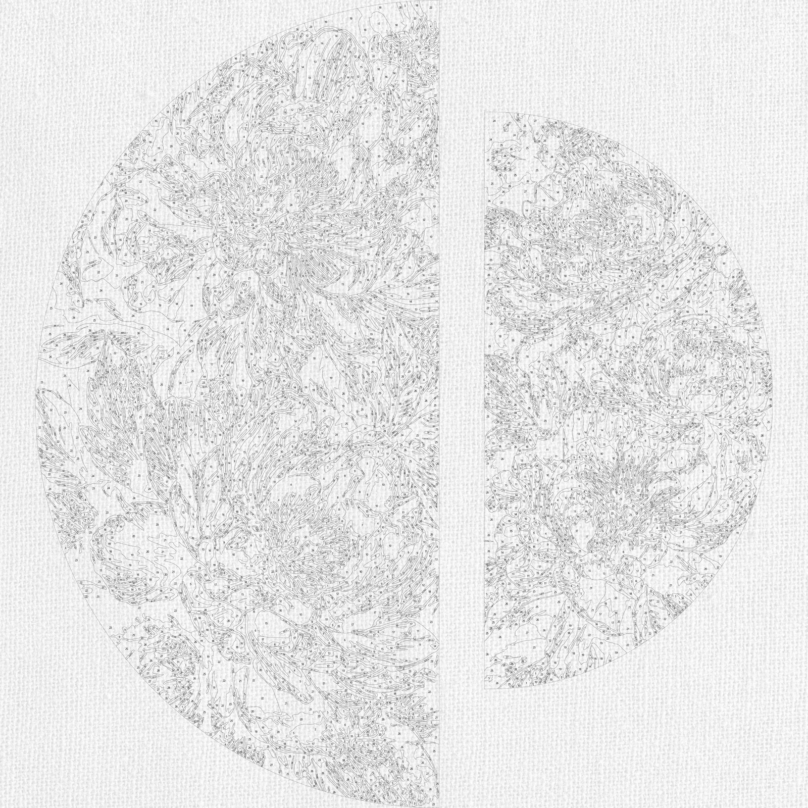 Malowanie po numerach ⌀50 cm + ⌀70 cm - Królewskie piwonie OSR 1017