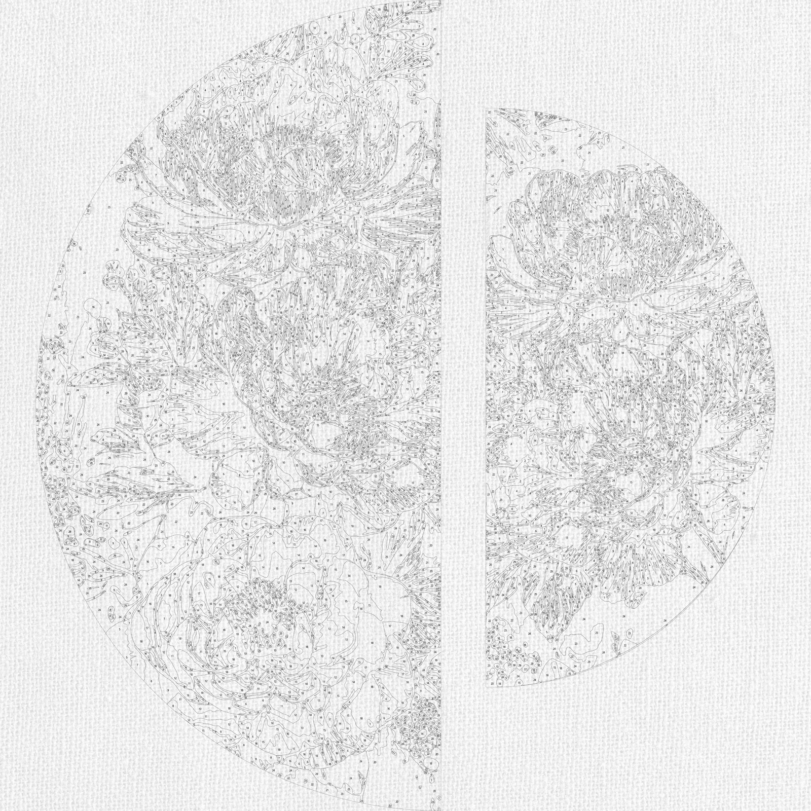 Malowanie po numerach ⌀50 cm + ⌀70 cm - Brzoskwiniowe płatki OSR 1018