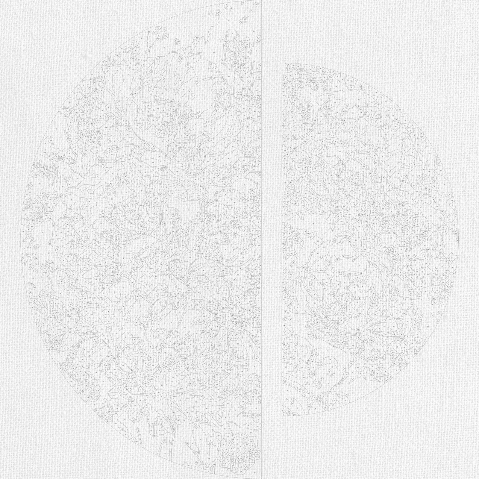 Malowanie po numerach ⌀50 cm + ⌀70 cm - Harmonia płatków OSR 1020